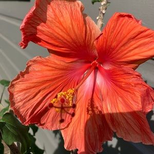 Meet your Posher, Katlyn